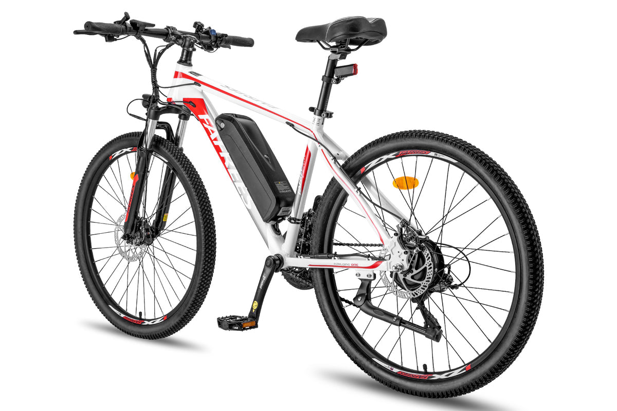 FAFREES Hailong One Electric Bike FAFREES Hailong One Electric Bike